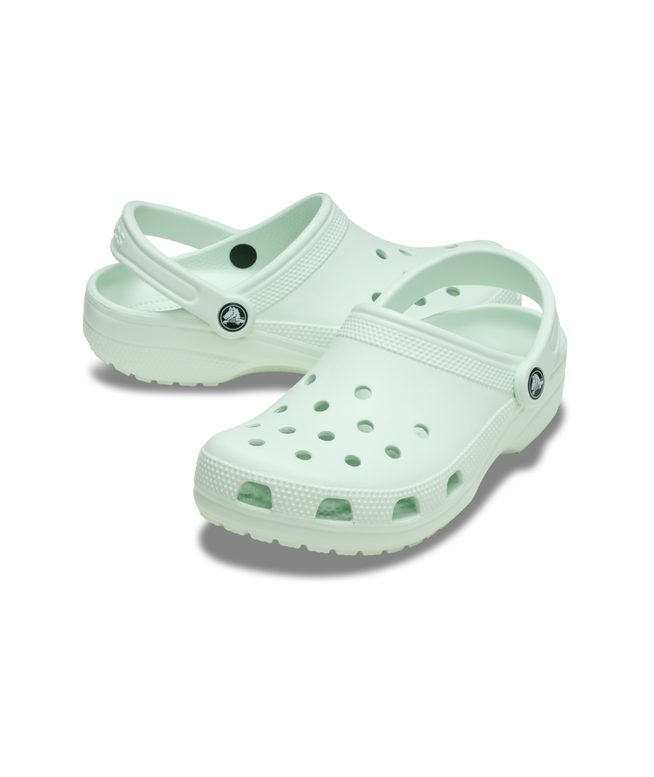 Crocs Unisex Adult Classic Clog